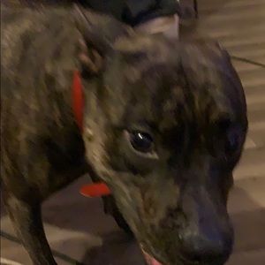 Meet your Posher, Ashlee